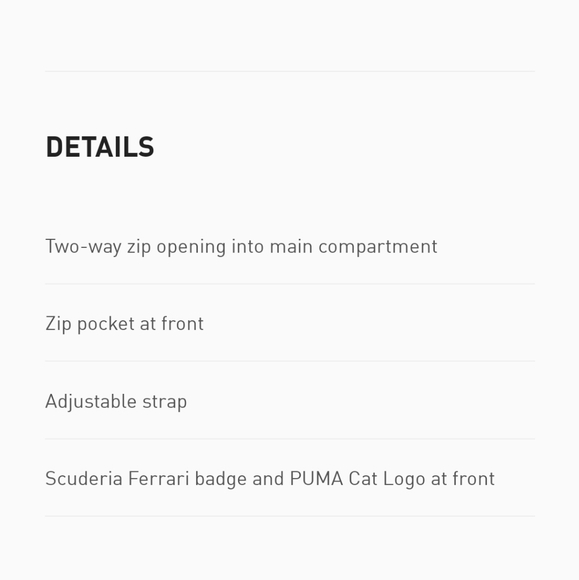 Puma - Picture 12 of 14